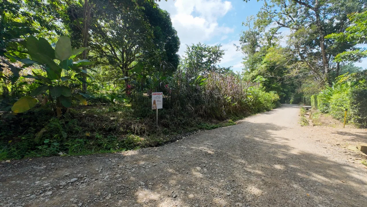 BUILDING JUNGLE PROPERTY NEAR THE RIVER, IN OJOCHAL – 2.44 ACRES, photo 13