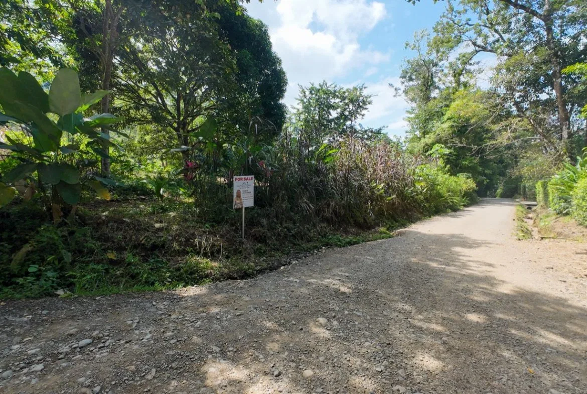 BUILDING JUNGLE PROPERTY NEAR THE RIVER, IN OJOCHAL – 2.44 ACRES, photo 14