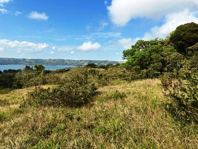 4.5 ha building land with fantastic lake view, photo 4