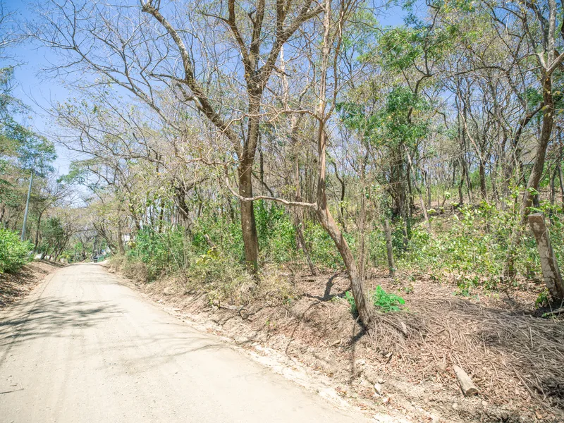 Land For Sale in Nosara, photo 3