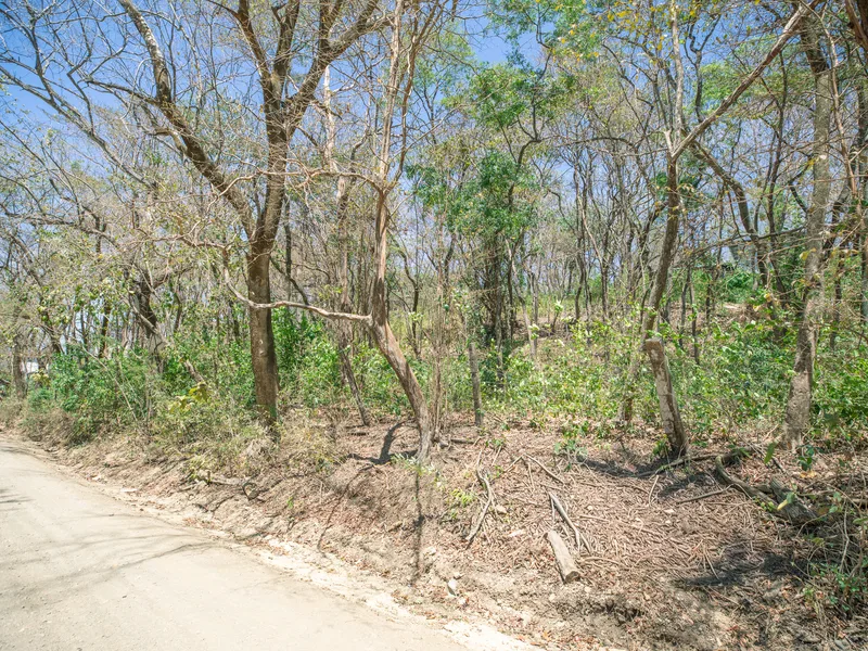 Land For Sale in Nosara, photo 4