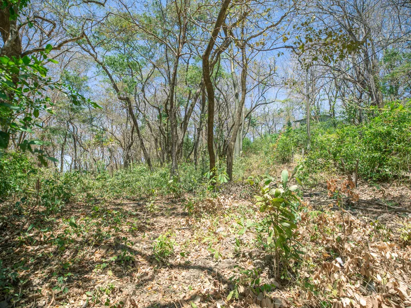 Land For Sale in Nosara, photo 6