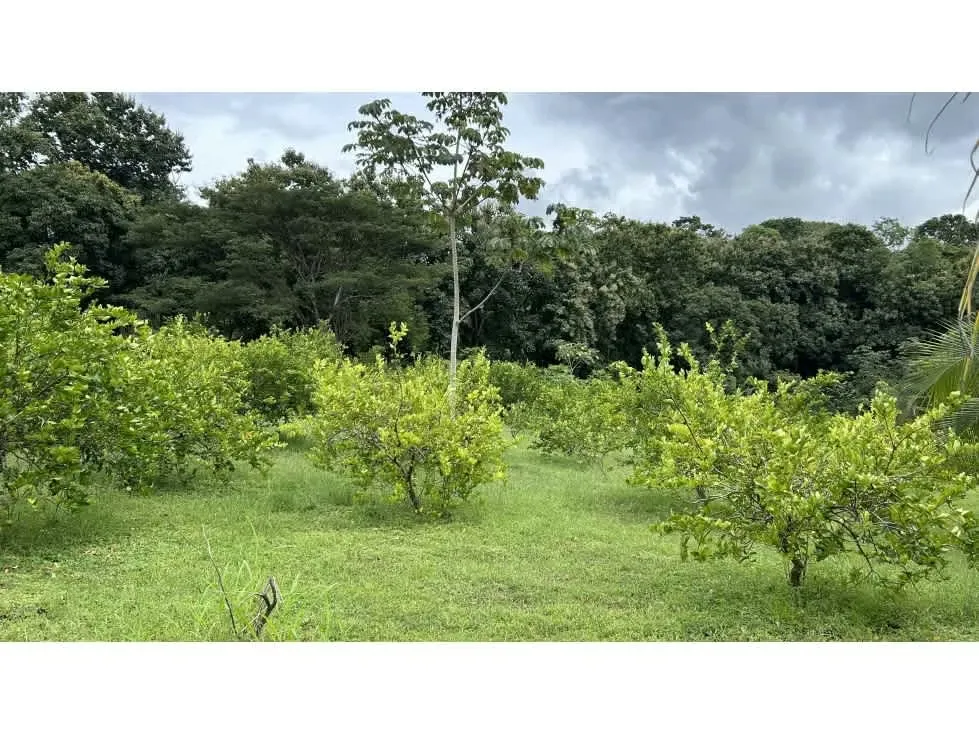Esta destacada oportunidad inmobiliaria presenta una impresionante propiedad en ..., photo 2