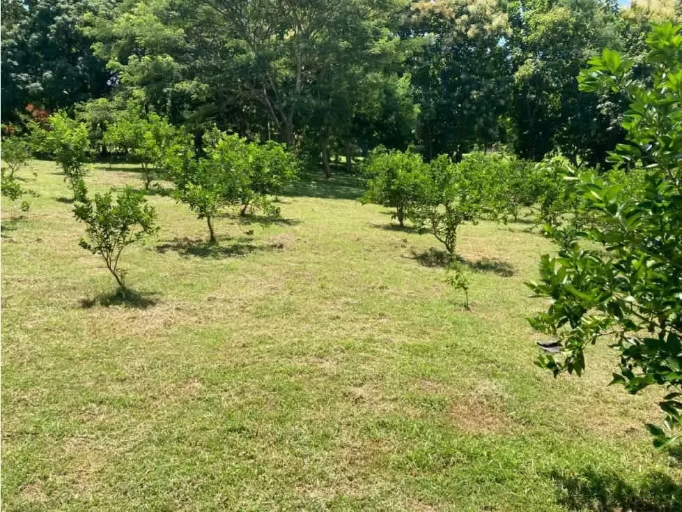 Esta destacada oportunidad inmobiliaria presenta una impresionante propiedad en ..., photo 4