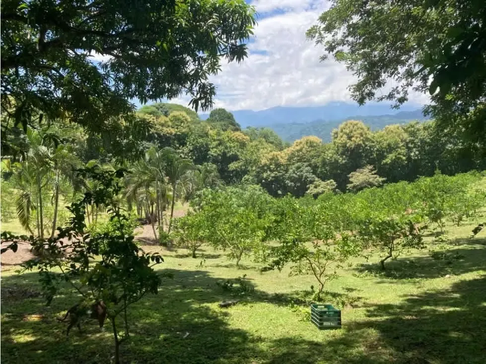 Esta destacada oportunidad inmobiliaria presenta una impresionante propiedad en ..., photo 5