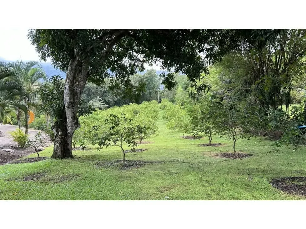 Esta destacada oportunidad inmobiliaria presenta una impresionante propiedad en ..., photo 8