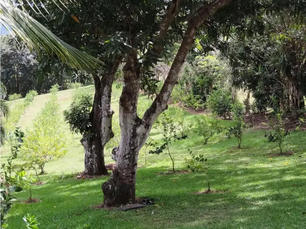 Esta destacada oportunidad inmobiliaria presenta una impresionante propiedad en ..., photo 10