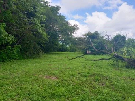 19 ha (46 acres) Gulf-View Property with Tropical Forest &amp; Large Building Plateau, photo 2