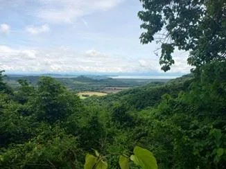 19 ha (46 acres) Gulf-View Property with Tropical Forest &amp; Large Building Plateau, photo 3