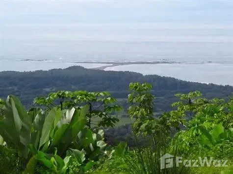 Land for Sale in Osa, Puntarenas for $139,000
