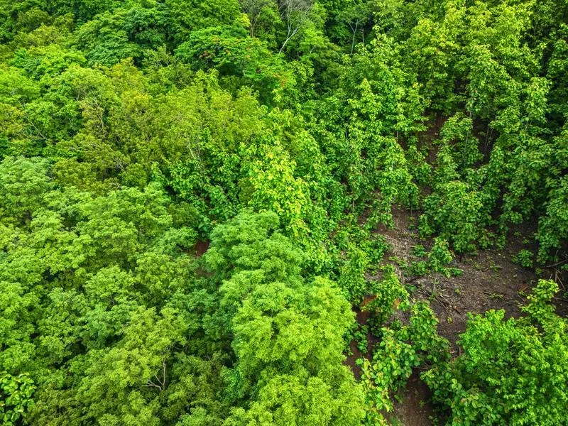 Land For Sale in Junquillal, photo 2