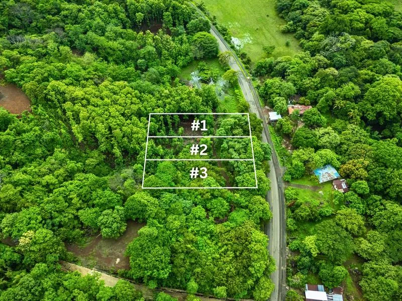 Land For Sale in Junquillal, photo 11