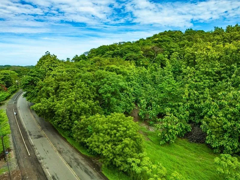Land For Sale in Junquillal, photo 13