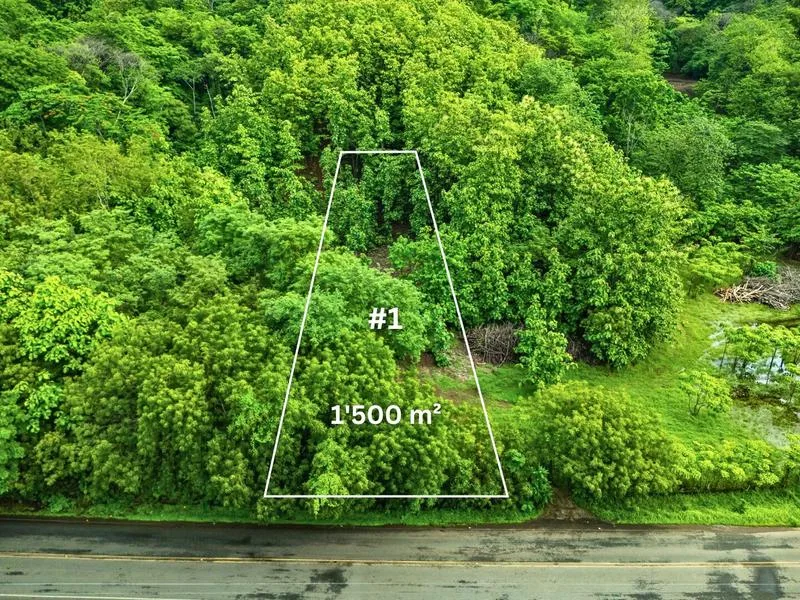 Land For Sale in Junquillal, photo 3