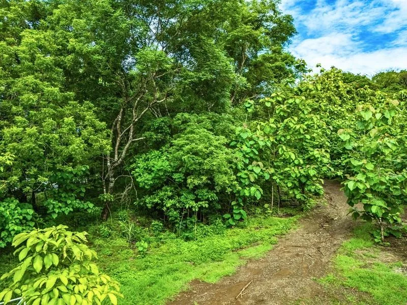 Land For Sale in Junquillal, photo 4