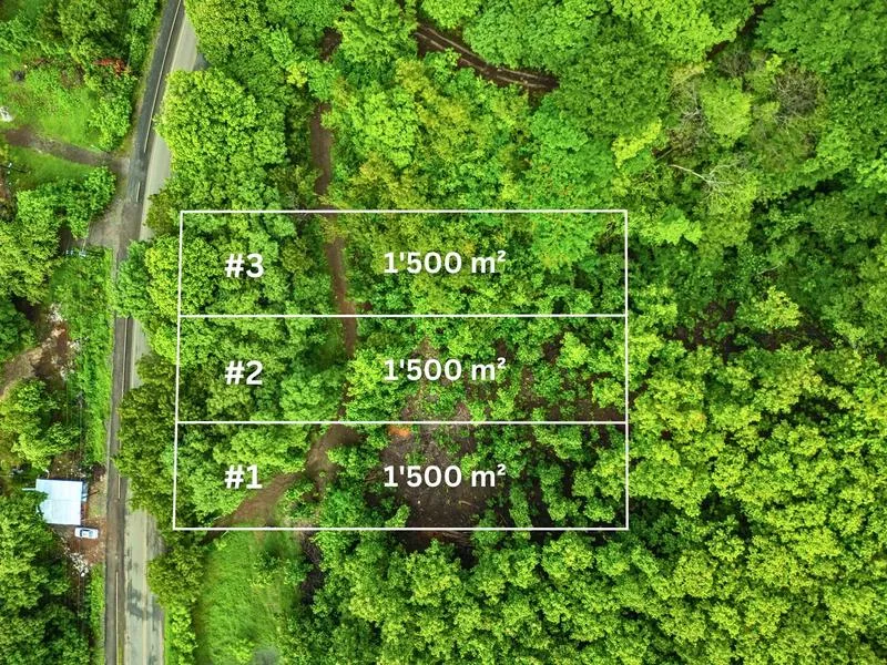 Land For Sale in Junquillal, photo 7