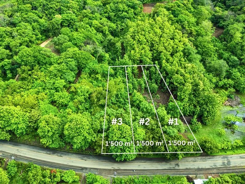 Land For Sale in Junquillal, photo 10