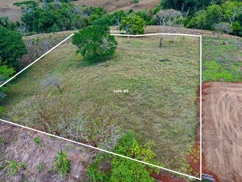 Land For Sale in Hojancha, photo 6