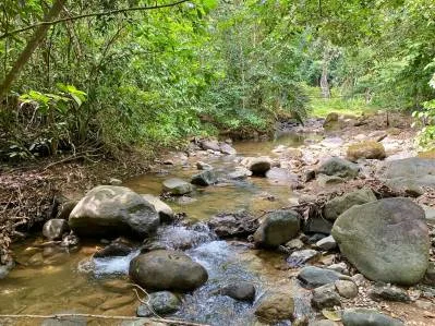Encantadora casa 2+2 junto a un río con piscinas, photo 9