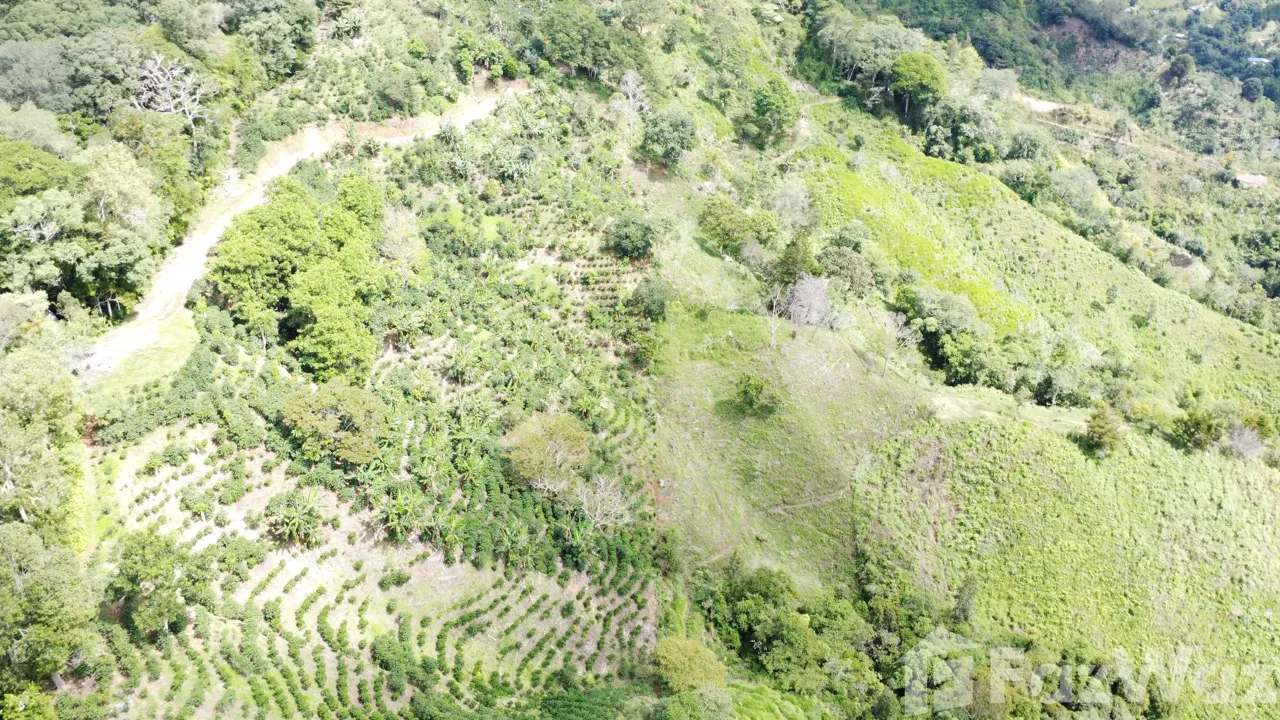 Land for Sale in Perez Zeledon, San Jose for $450,000, photo 11