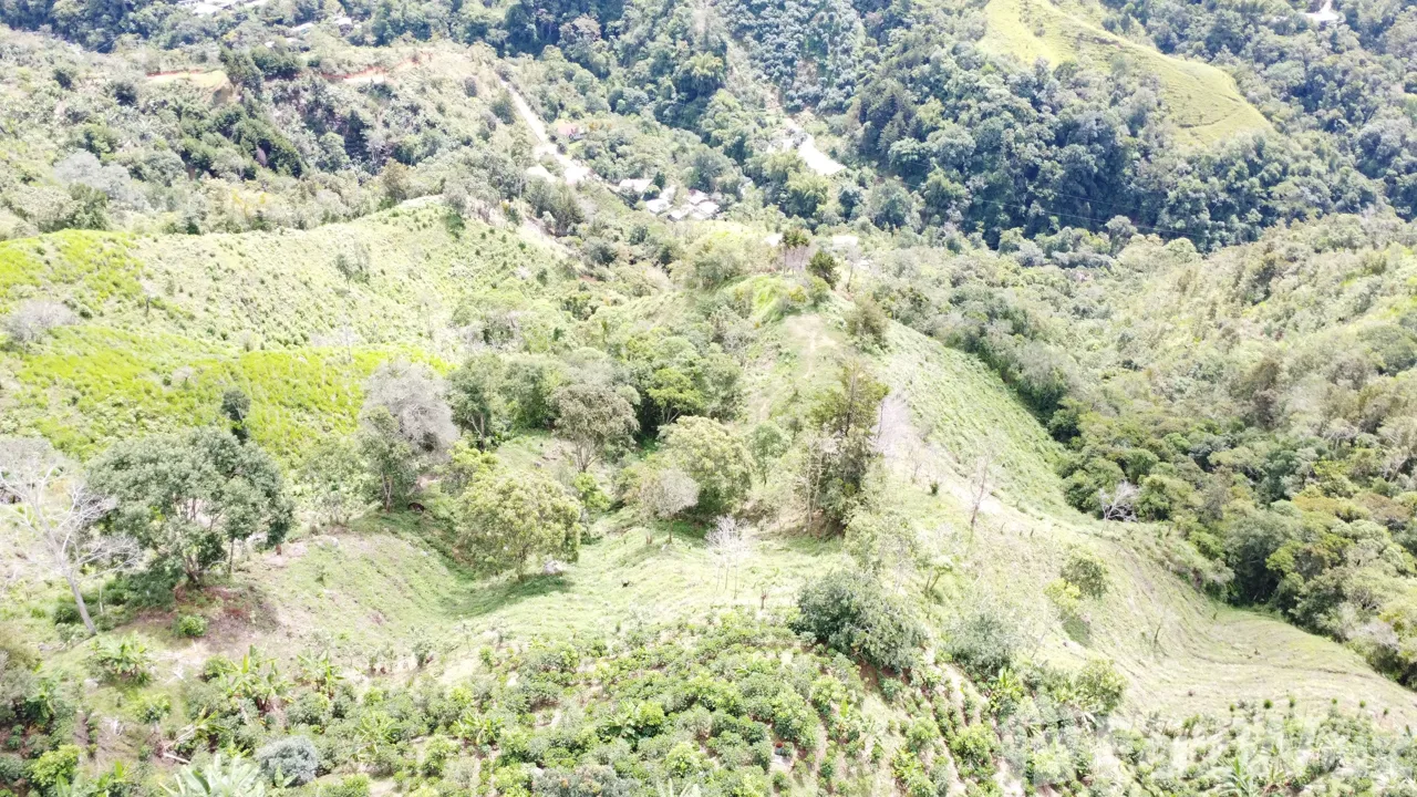 Land for Sale in Perez Zeledon, San Jose for $450,000, photo 12