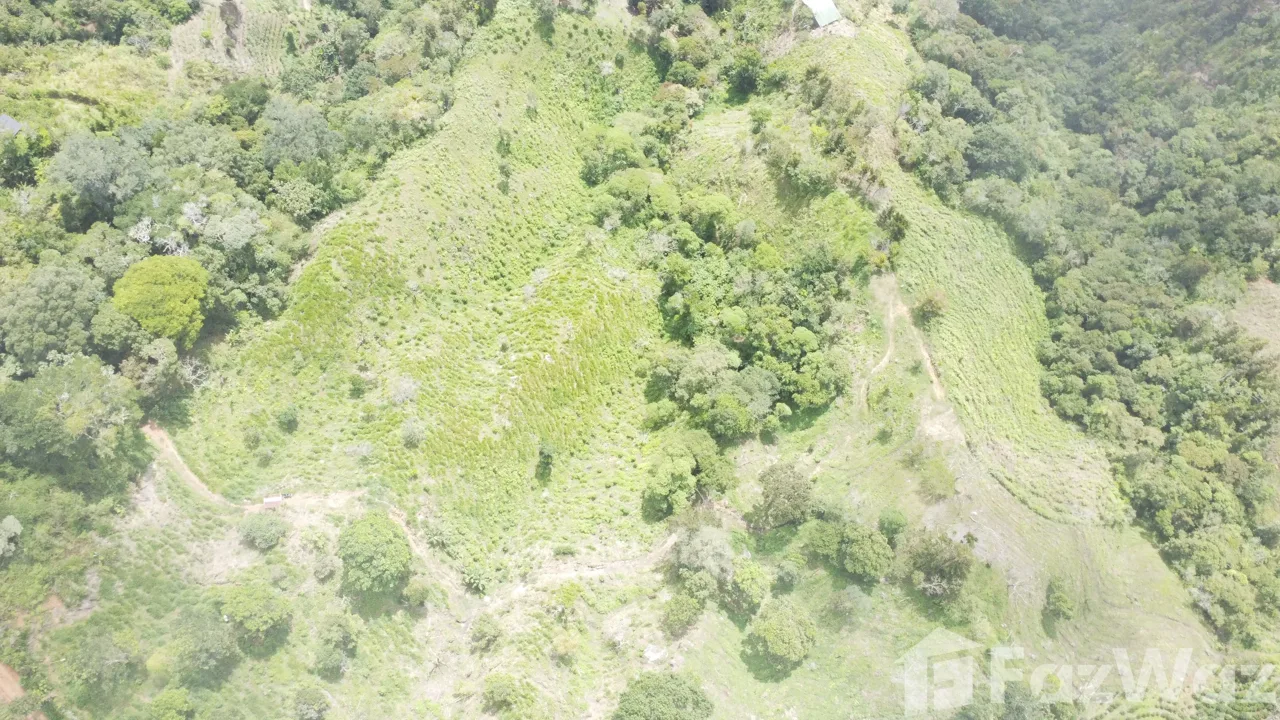Land for Sale in Perez Zeledon, San Jose for $450,000, photo 15