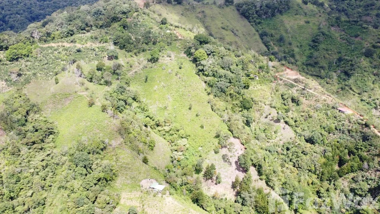 Land for Sale in Perez Zeledon, San Jose for $450,000, photo 7