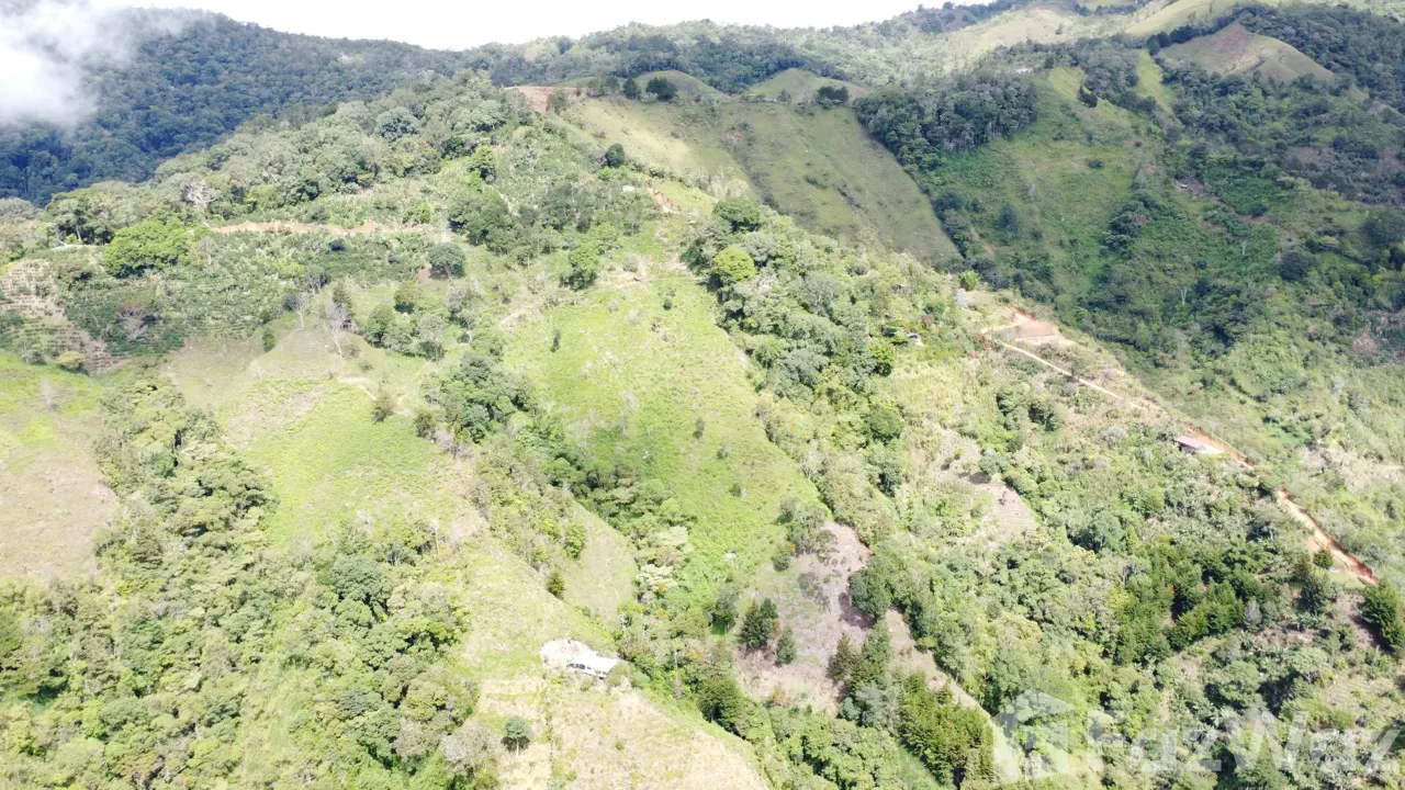 Land for Sale in Perez Zeledon, San Jose for $450,000, photo 8