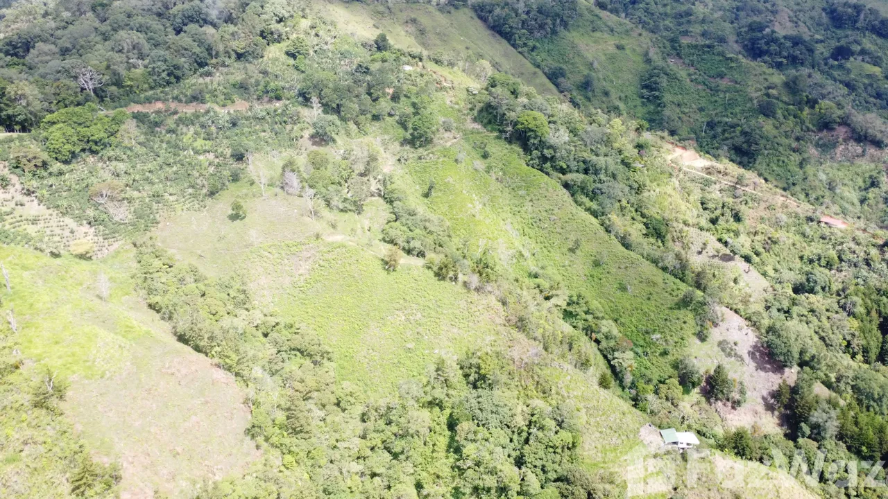 Land for Sale in Perez Zeledon, San Jose for $450,000, photo 9