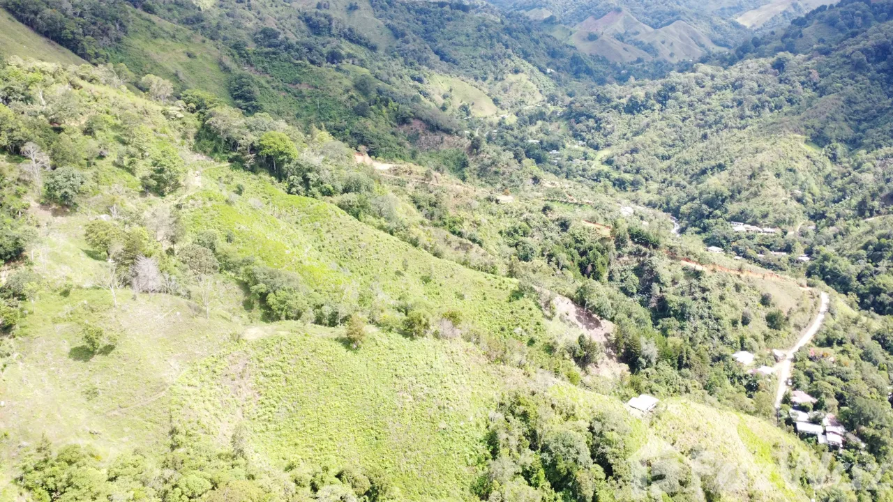 Land for Sale in Perez Zeledon, San Jose for $450,000, photo 10