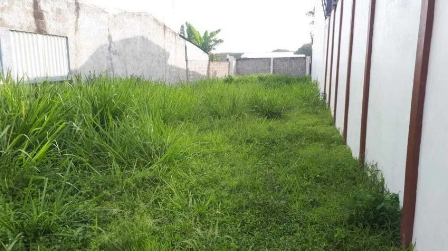 Venta de Lote Plano en Alajuela - Venta en Alajuela