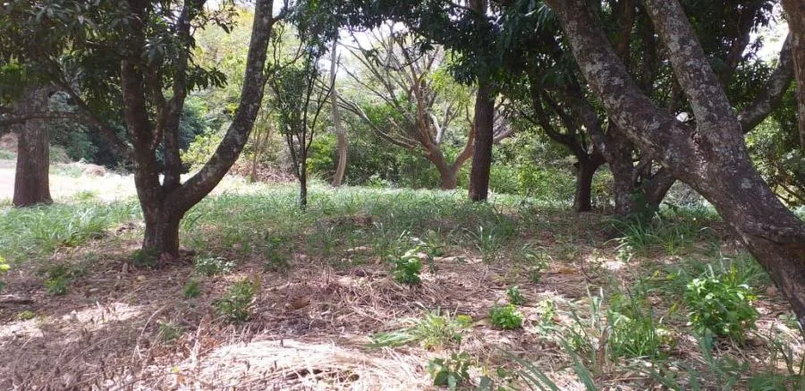 Venta de lote en Lindora D#02 - Venta en Santa Ana
