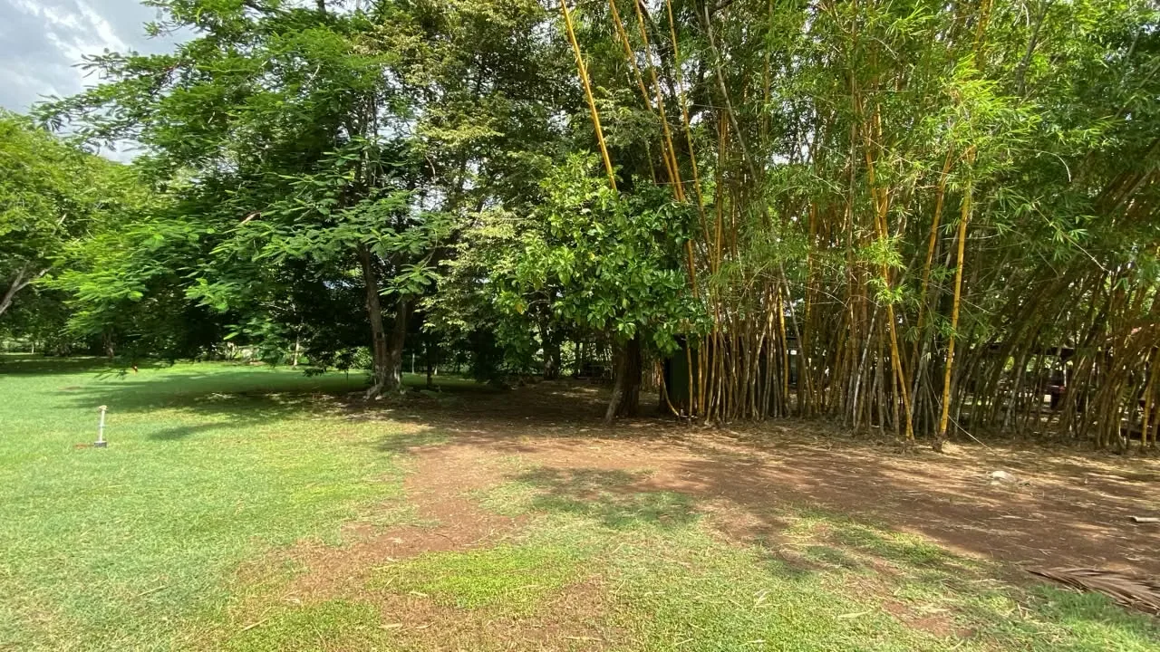 Excellent 607 m² flat lot located in the exclusive Salinitas community, just minutes from Playa Grande and bordering a national park. The property is ready to build and features ...