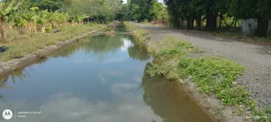 Farm for sale Guanacaste, photo 5