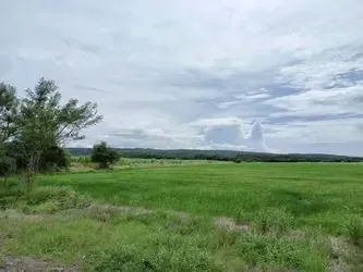 Farm for sale Guanacaste, photo 8