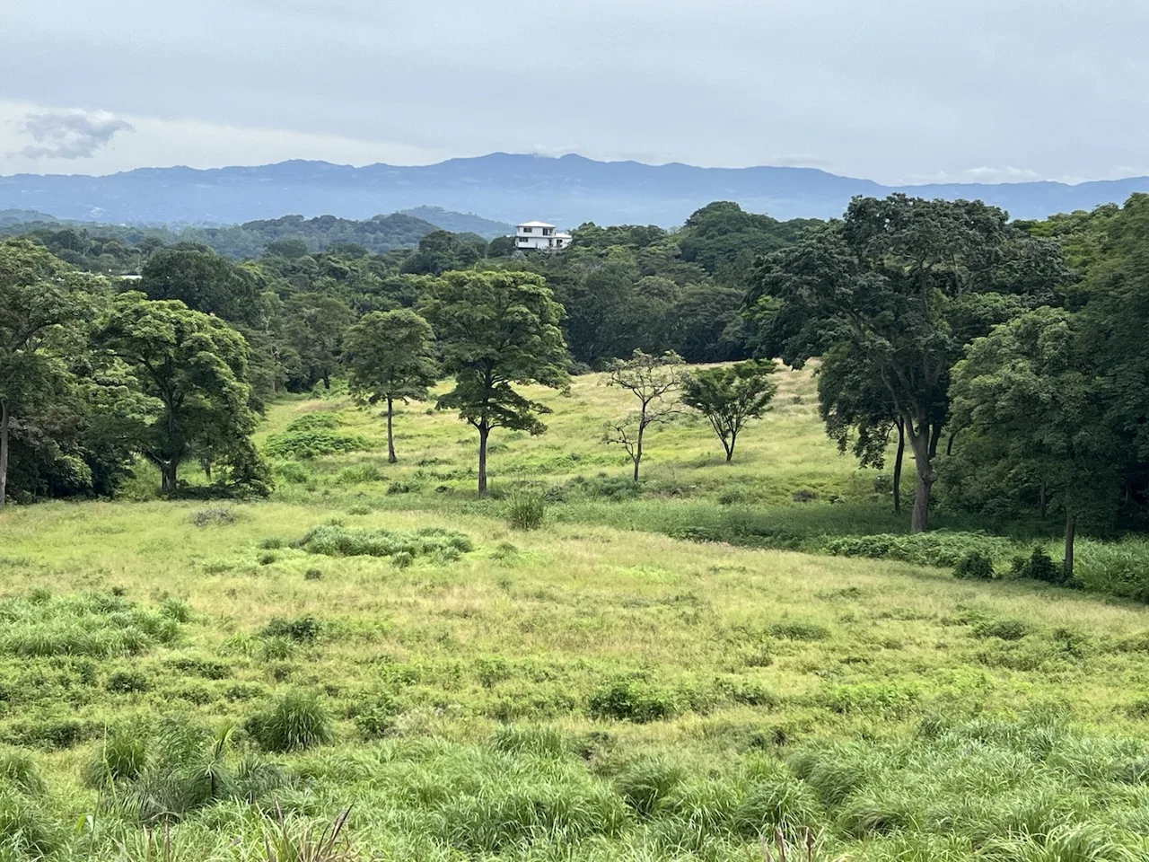 For Sale, 11.5 Acre Residential Development Opportunity Property, La Garita Alaj