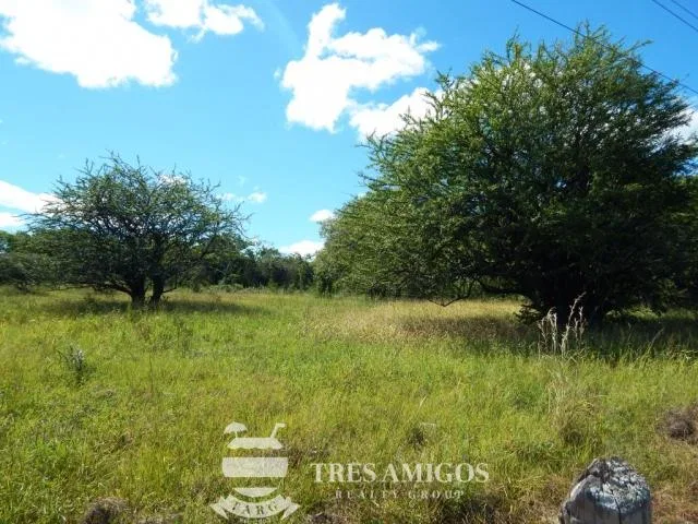 Papagayo 1ha Ocean View Lot, photo 4