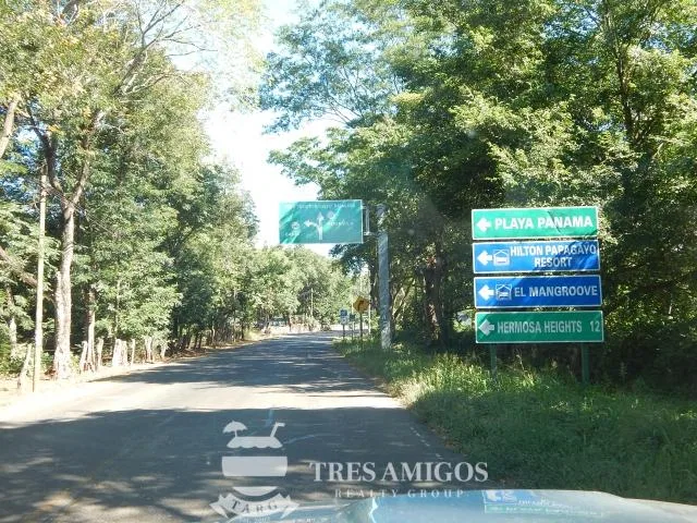 Papagayo 1ha Ocean View Lot, photo 6