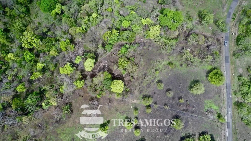 Papagayo 1ha Ocean View Lot, photo 8