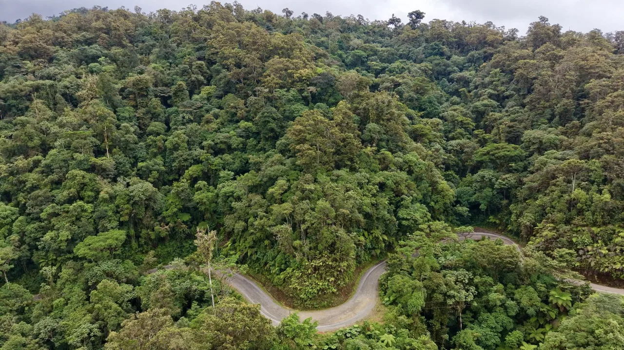 31 Hectares of Cloud Forest in Las Nubes de Páramo | A Unique Investment Opportunity in Costa Rica, photo 2