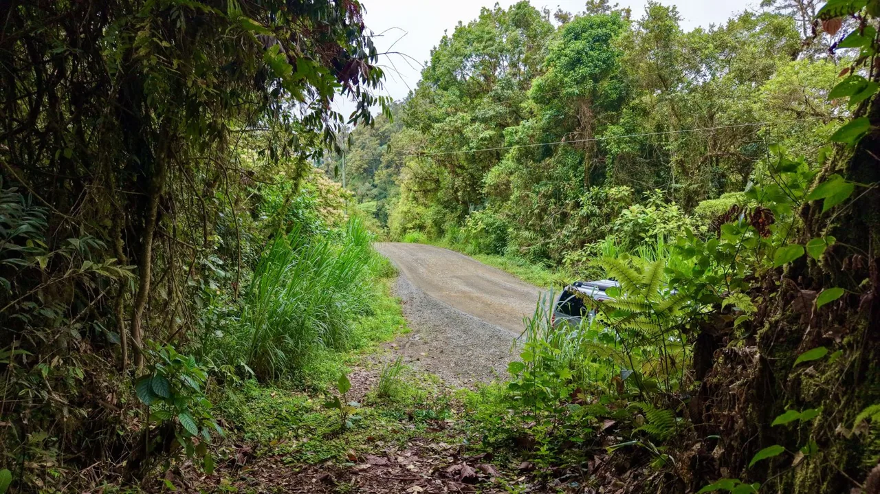 31 Hectares of Cloud Forest in Las Nubes de Páramo | A Unique Investment Opportunity in Costa Rica, photo 11