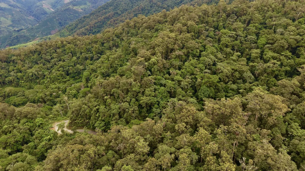 31 Hectares of Cloud Forest in Las Nubes de Páramo | A Unique Investment Opportunity in Costa Rica, photo 3