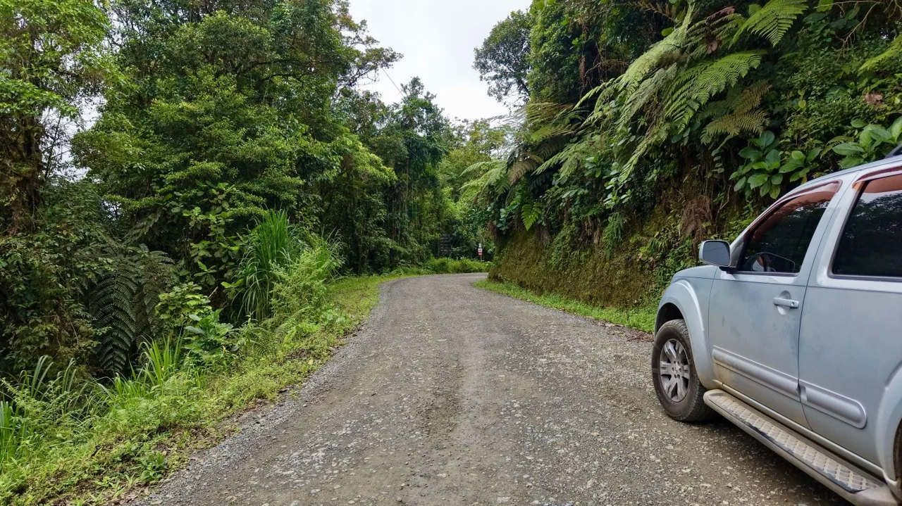 31 Hectares of Cloud Forest in Las Nubes de Páramo | A Unique Investment Opportunity in Costa Rica, photo 10