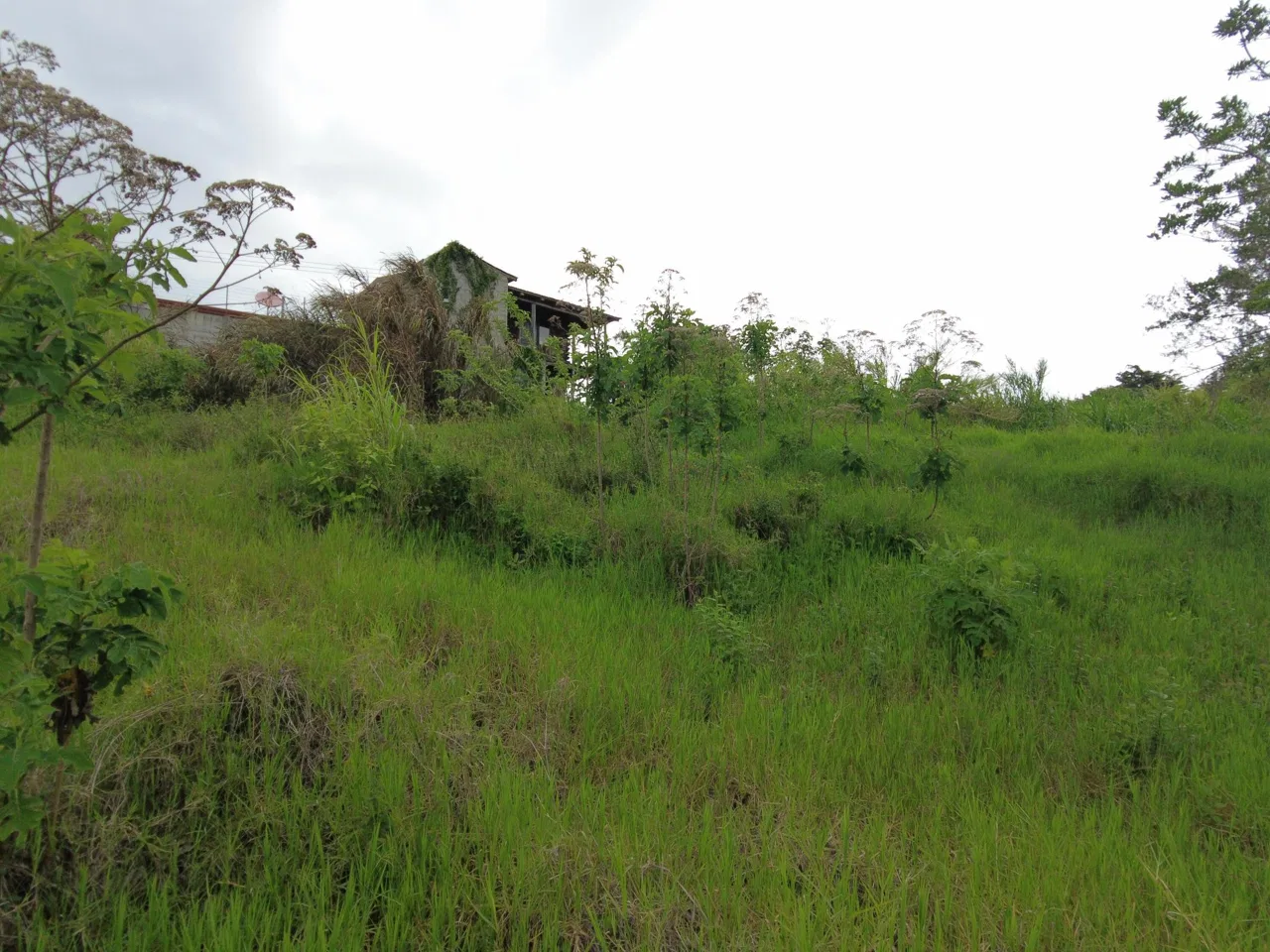 Lote en Venta en San Francisco ,San Isidro, photo 12