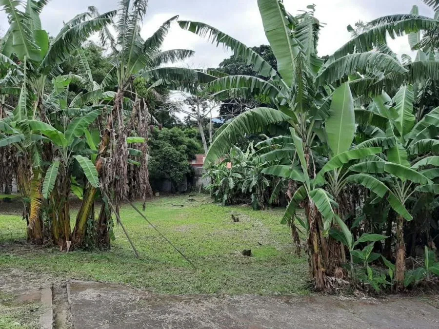 VENTA DE LOTE EN SAN JOSE - Venta en San José, photo 5