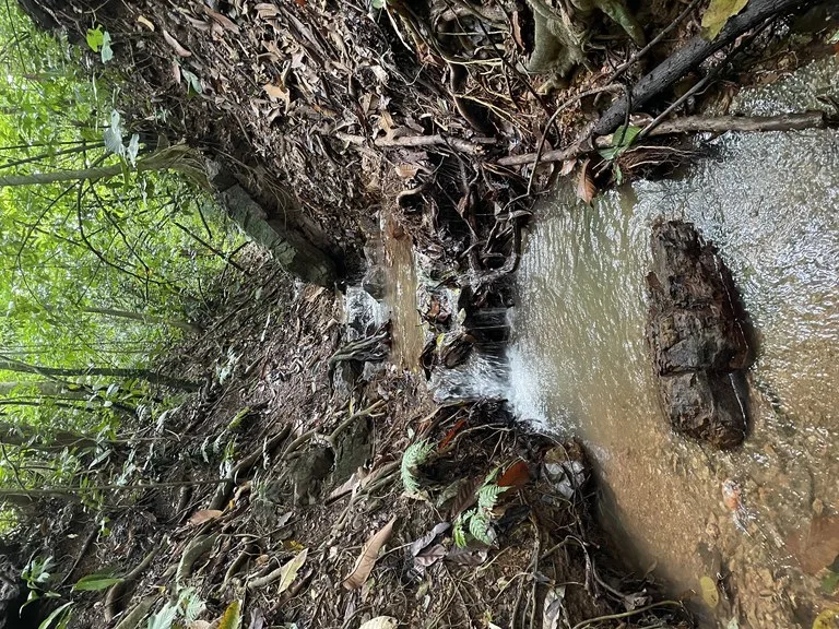 TROPICAL MASTERPIECE – 61.78 ACRES OF OCEANVIEW BLISS WITH WATERFALL: Mountain Development Parcel For Sale in Tres Rios