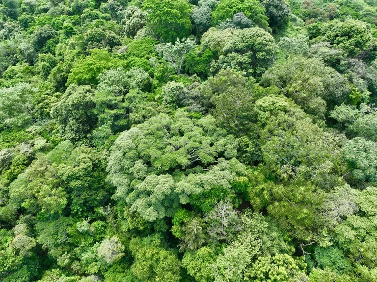 TROPICAL MASTERPIECE – 61.78 ACRES OF OCEANVIEW BLISS WITH WATERFALL: Mountain Development Parcel For Sale in Tres Rios, photo 13