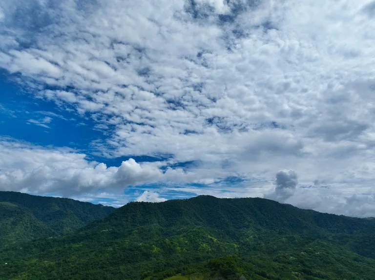 TROPICAL MASTERPIECE – 61.78 ACRES OF OCEANVIEW BLISS WITH WATERFALL: Mountain Development Parcel For Sale in Tres Rios, photo 14