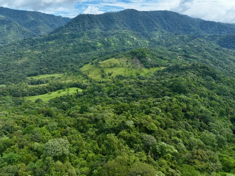 TROPICAL MASTERPIECE – 61.78 ACRES OF OCEANVIEW BLISS WITH WATERFALL: Mountain Development Parcel For Sale in Tres Rios, photo 15