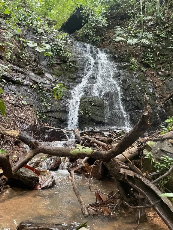 TROPICAL MASTERPIECE – 61.78 ACRES OF OCEANVIEW BLISS WITH WATERFALL: Mountain Development Parcel For Sale in Tres Rios, photo 4